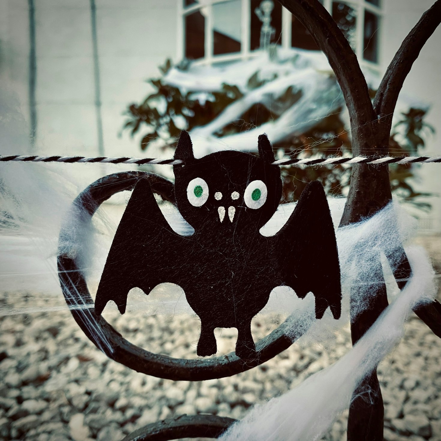 A Closer Look at the Lavenders’ Unique Family Dynamics